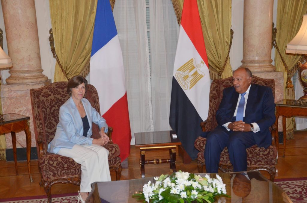 france-willing-to-help-egypt-attract-foreign-investment:-fm