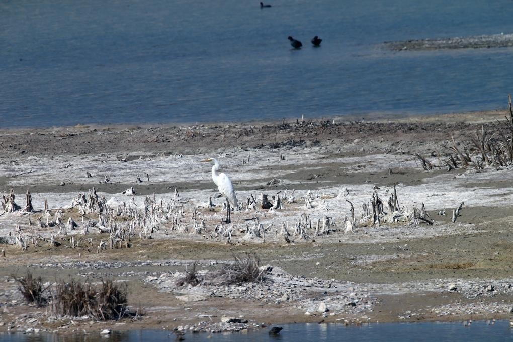 Turkey experiences driest August in 33 yrs: Report turkey-experiences-driest-august-in-33-yrs:-report