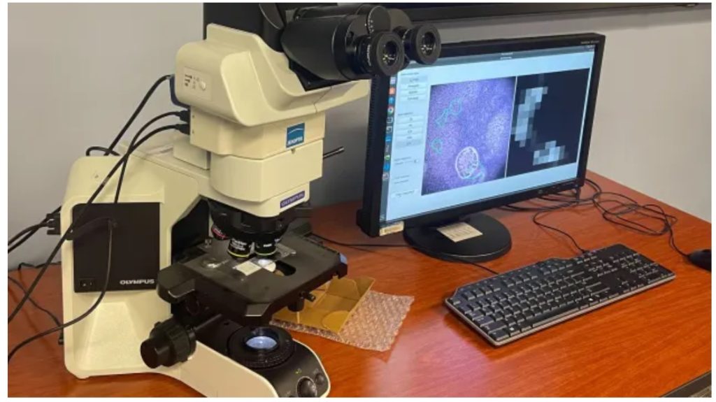 Google, US Defense dept to build AI-powered microscope to spot cancer google,-us-defense-dept-to-build-ai-powered-microscope-to-spot-cancer