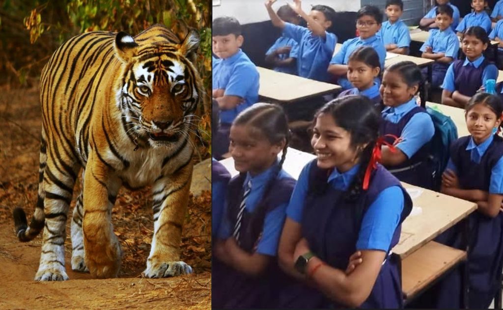 UP: Pilibhit school closed after tiger spotted nearby up:-pilibhit-school-closed-after-tiger-spotted-nearby