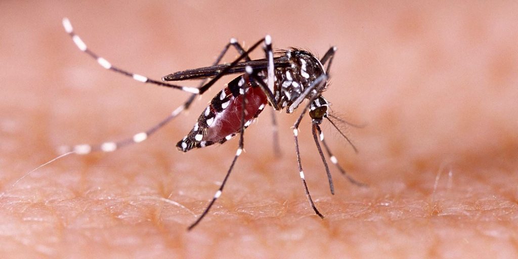 Surge in fever cases in Lucknow; dengue, typhoid on the rise surge-in-fever-cases-in-lucknow;-dengue,-typhoid-on-the-rise