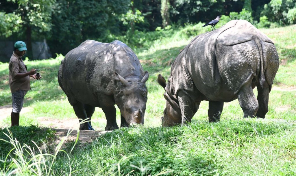 bengal-forest-dept-scattering-areas-for-free-movement-of-one-horned-rhinos