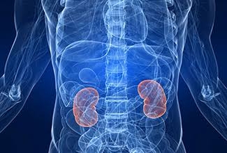 scientists-find-genetic-code-behind-rare-kidney-cancer