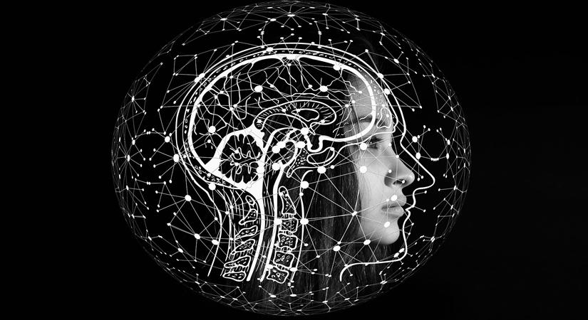 People with substance use disorder may have common brain network: Study people-with-substance-use-disorder-may-have-common-brain-network:-study