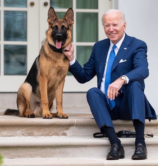 biden’s-dog-bites-secret-service-agent