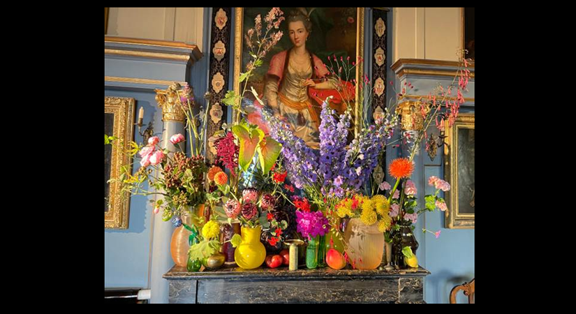 ‘switzerlandindia’-in-bloom