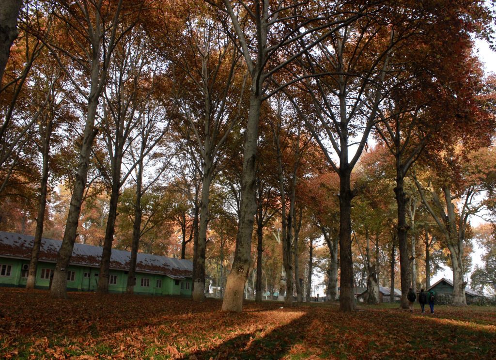 autumn-in-thomas-moore’s-land-of-‘lalla-rookh’