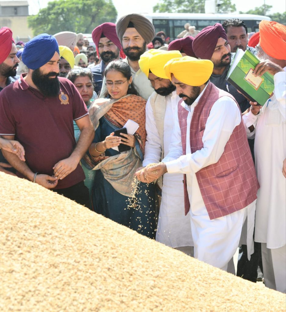 Punjab set to procure 182 lakh metric ton paddy punjab-set-to-procure-182-lakh-metric-ton-paddy