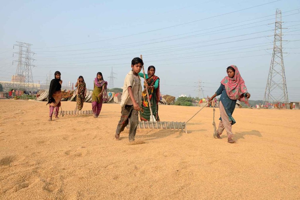 farmers-not-getting-msp-on-paddy-in-haryana,-says-hooda