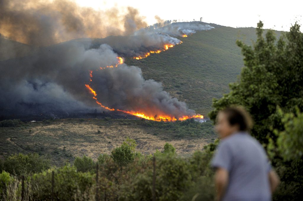 Thousands evacuated as wildfire rips through Spanish island thousands-evacuated-as-wildfire-rips-through-spanish-island