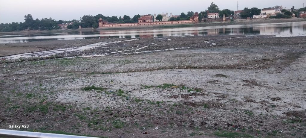 has-yamuna-become-india’s-river-of-sorrow?