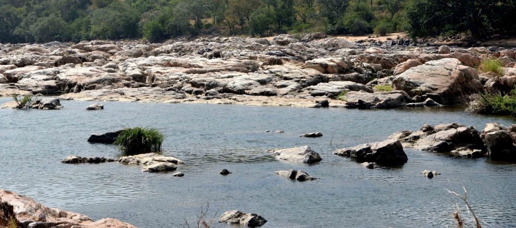 cauvery-water-issue:-tn-delta-districts-to-observe-bandh-on-oct-11