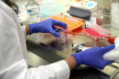 Researchers develop most accurate test yet to measure biological ageing researchers-develop-most-accurate-test-yet-to-measure-biological-ageing