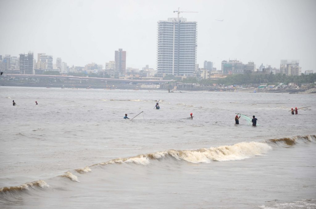 ‘increasing-sea-surface-temperature-results-in-prematuring-of-fishes’