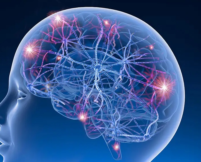 Scientists link sleep & stress with epileptic seizures scientists-link-sleep-&-stress-with-epileptic-seizures