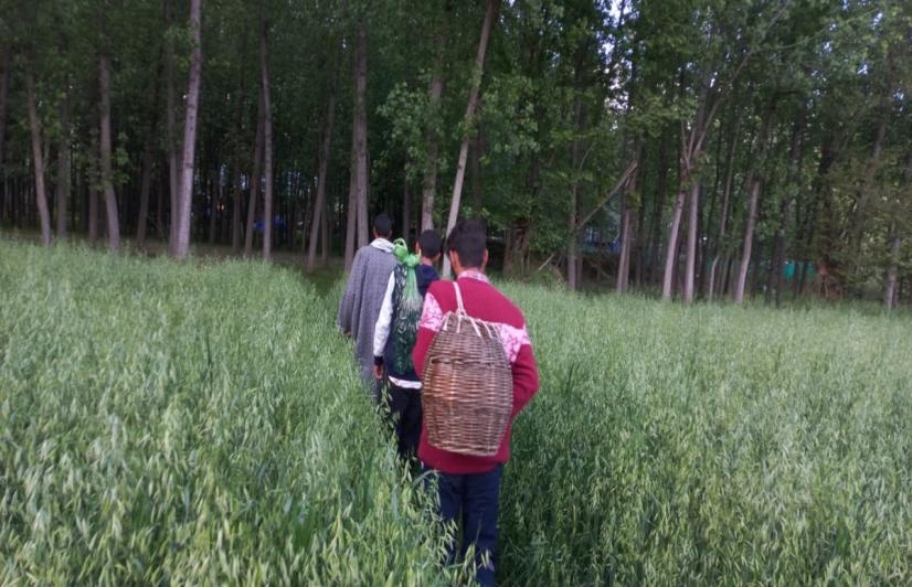 J&K govt sets up panel to identify foreigners staying illegally in UT j&k-govt-sets-up-panel-to-identify-foreigners-staying-illegally-in-ut