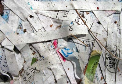 Transaction slips of crores, wrappers of note bundles found in garbage heap in Jaipur transaction-slips-of-crores,-wrappers-of-note-bundles-found-in-garbage-heap-in-jaipur