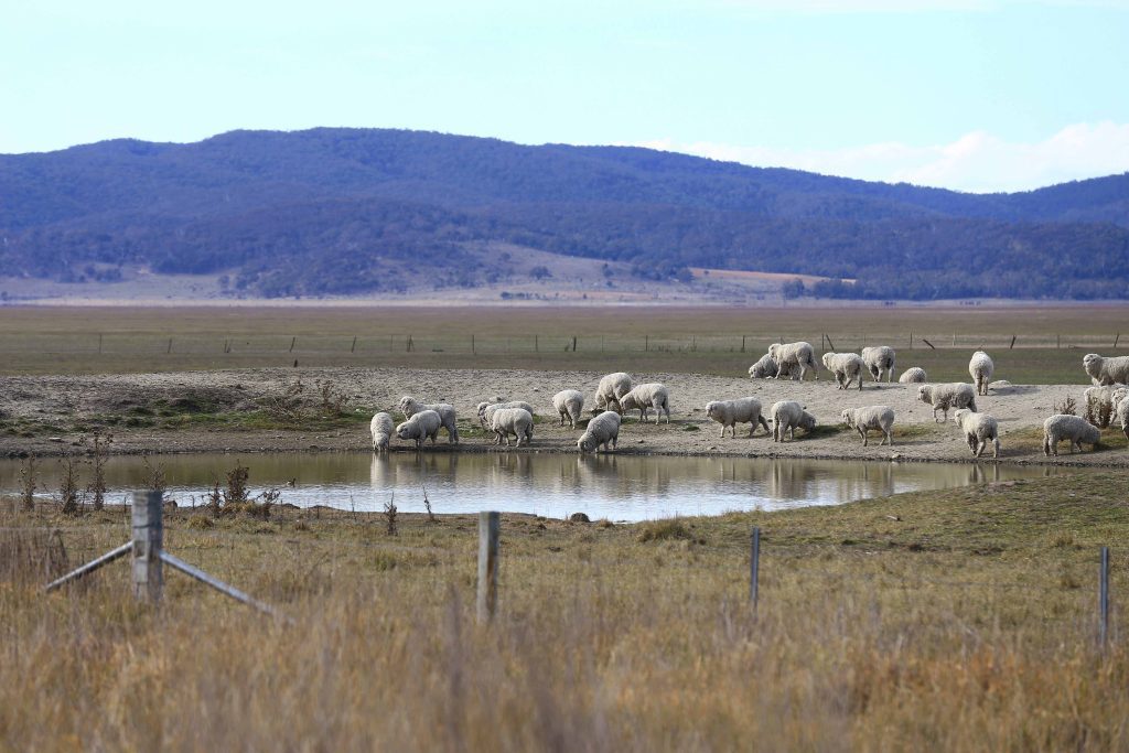 Australia records driest October since 2002 australia-records-driest-october-since-2002