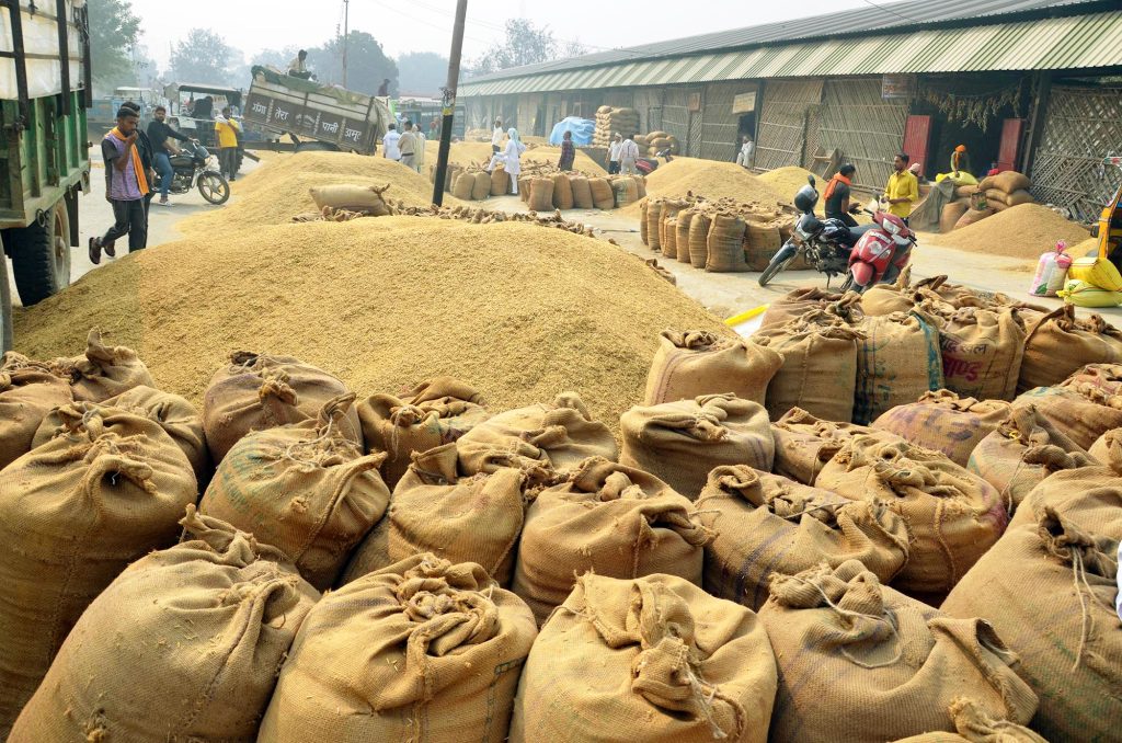Paddy procurement touches 161 LMT till Nov 1 paddy-procurement-touches-161-lmt-till-nov-1