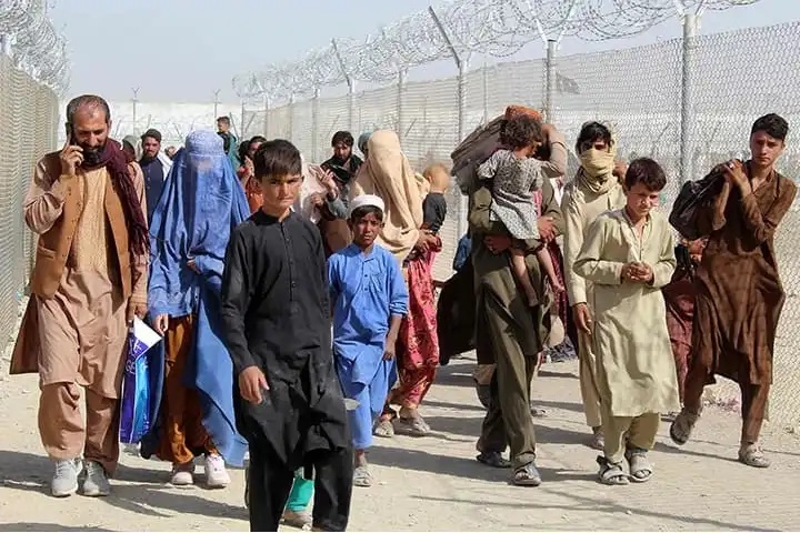 Taliban slams ‘abusive’ crackdown on Afghan refugees, asks Pak to show ‘magnanimity, Islamic brotherhood’ taliban-slams-‘abusive’-crackdown-on-afghan-refugees,-asks-pak-to-show-‘magnanimity,-islamic-brotherhood’