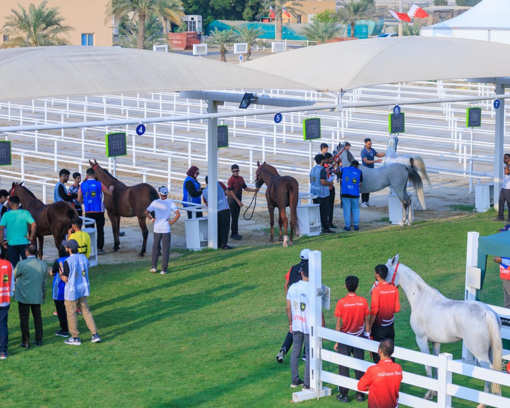 Endurance Village to Host International and Local Endurance Qualifiers