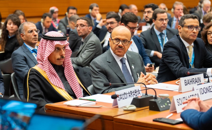 Foreign Affairs Minister attends UN event on Gaza