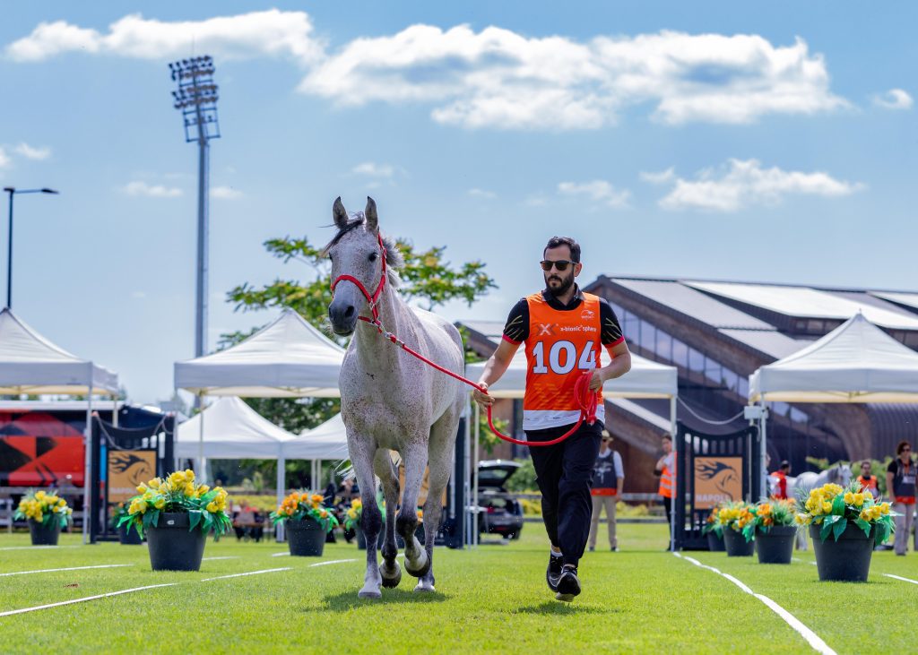 Royal Endurance Team to Participate in Samorin International Endurance Championship in Slovakia