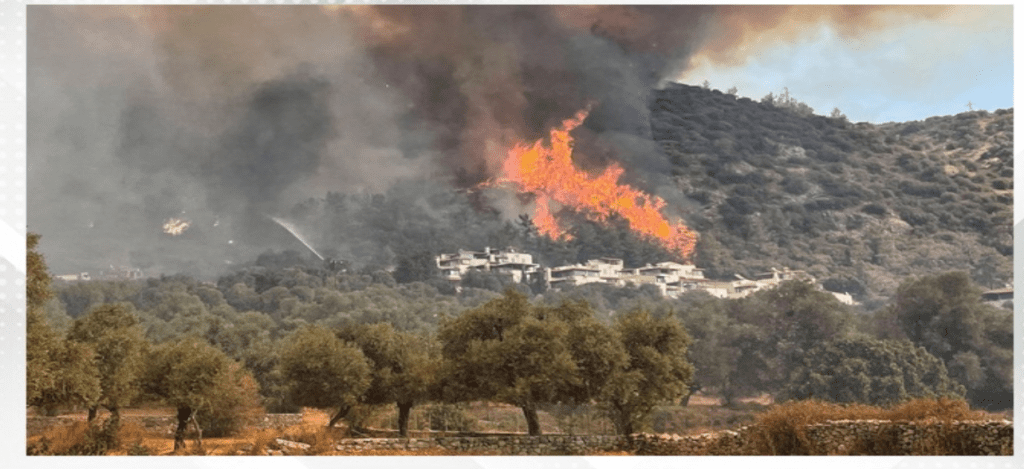 Firefighters battle to contain five wildfires across Turkey