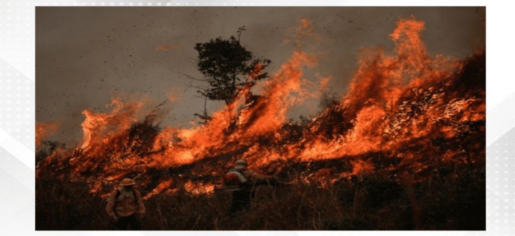 Brazil fire brigades fight Amazon blazes off to torrid start in 2024