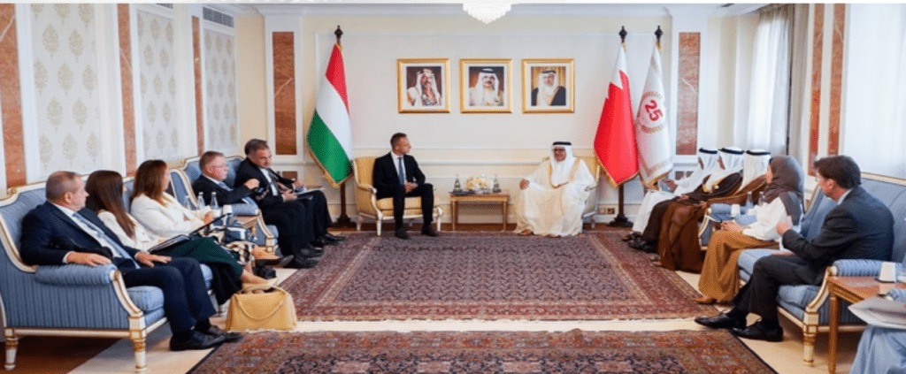 Foreign Minister, Hungarian counterpart hold discussions session