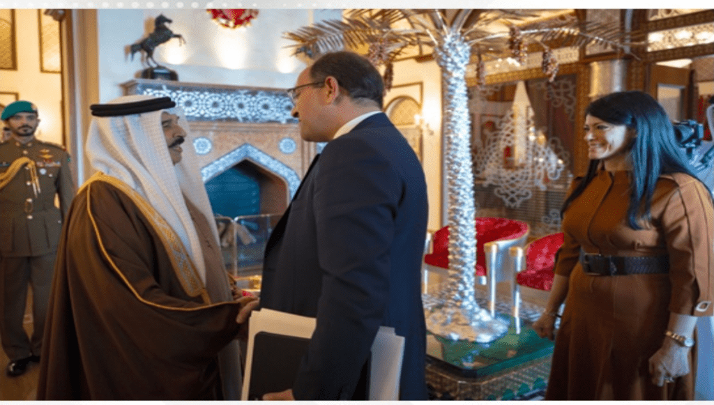 HM King receives Egyptian ministerial delegation