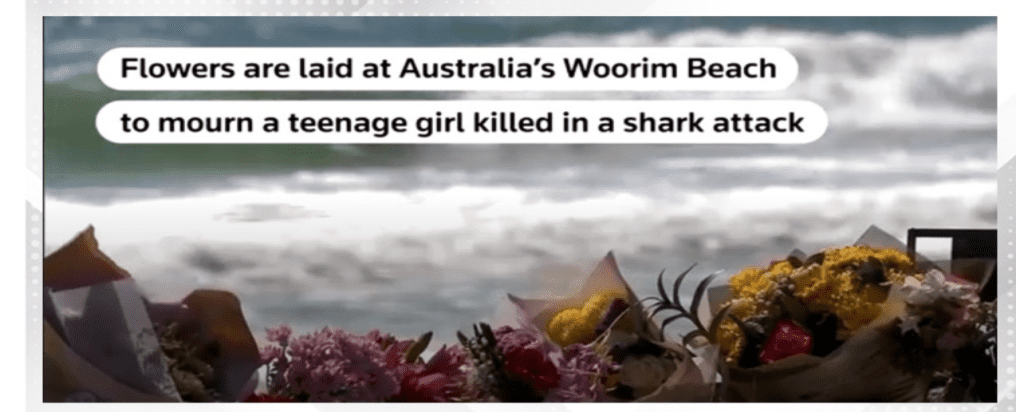 Teenage girl killed in shark attack off Australia’s east coast