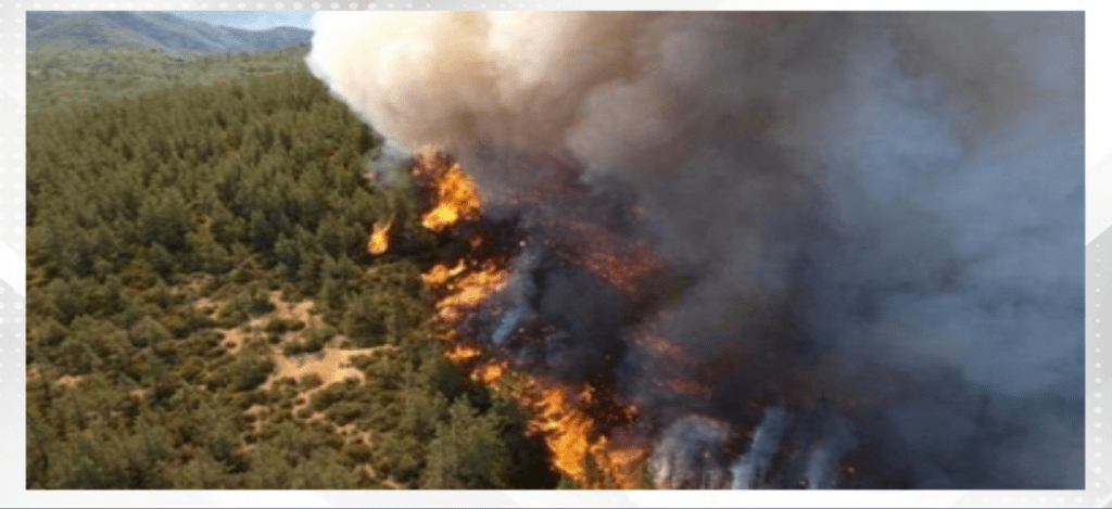 Australia’s New South Wales sweats through heatwave, faces ‘extreme’ bushfire risk