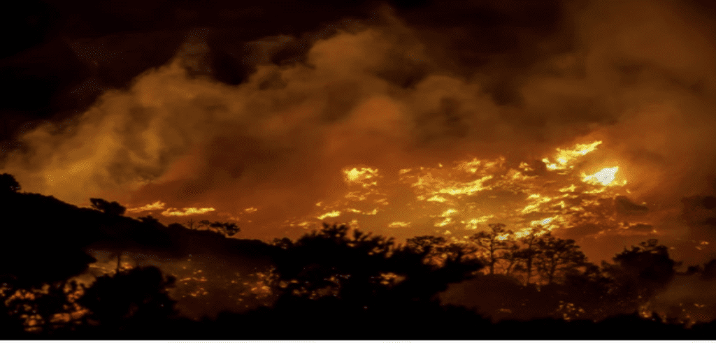 Homes evacuated on Greek island of Crete as wildfire burns out of control