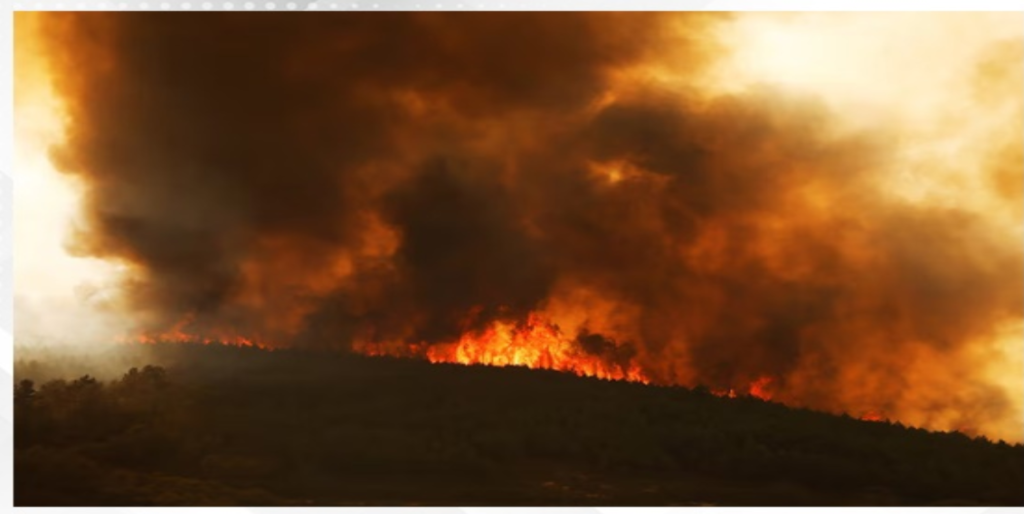 Spain battles 14 major fires with more expected