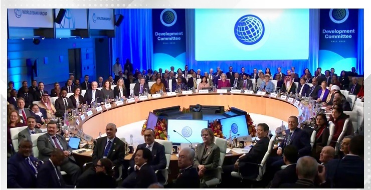 Finance and National Economy Minister delivers statement on behalf of Arab Group and Maldives before Development Committee