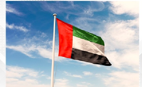 UAE welcomes IMO resolution on maritime safety in Gulf region