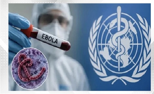 WHO reports 896 Ebola cases, 232 deaths in DR Congo