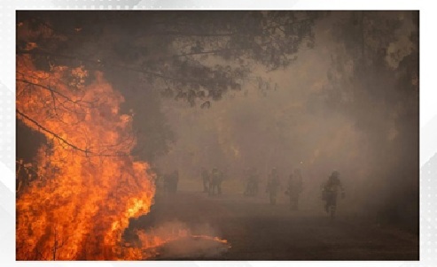 Wildfire in Spain disrupts rail services between Madrid and Barcelona