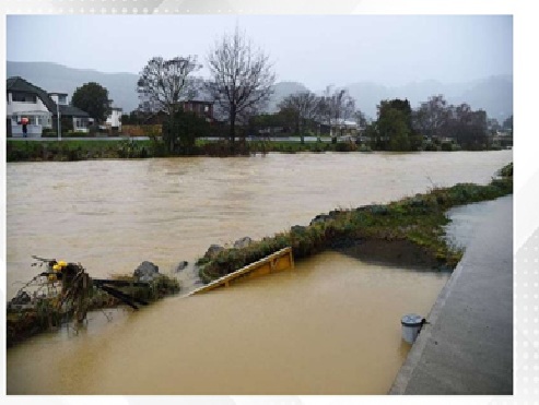 Heavy rain triggers flooding, evacuations in Dunedin