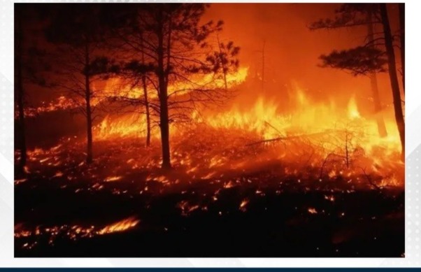 Germany evacuates about 1,800 people as wildfire reaches village of Gai