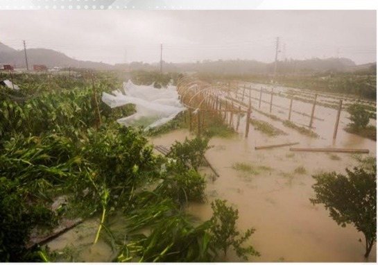 12,700 evacuated as heavy rains hit northeast China’s Liaoning