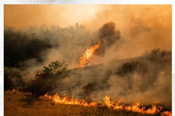 EU to send firefighting assistance to Serbia amid wildfires