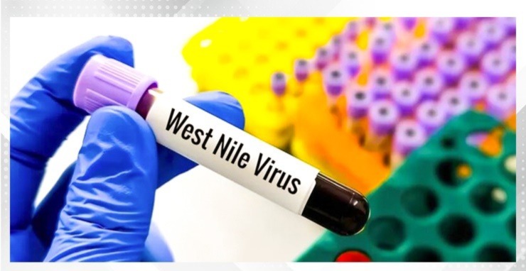 West Nile virus cases top 1,000 in Europe