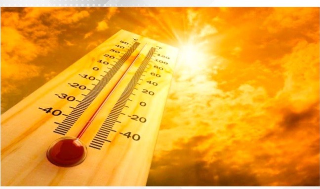 Sydney hit by heatwave amid bushfire risk