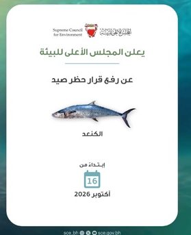SCE announces lifting of kingfish fishing ban from October 16
